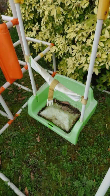 Photo of free Todler swings (East peckham (TN12)) #2