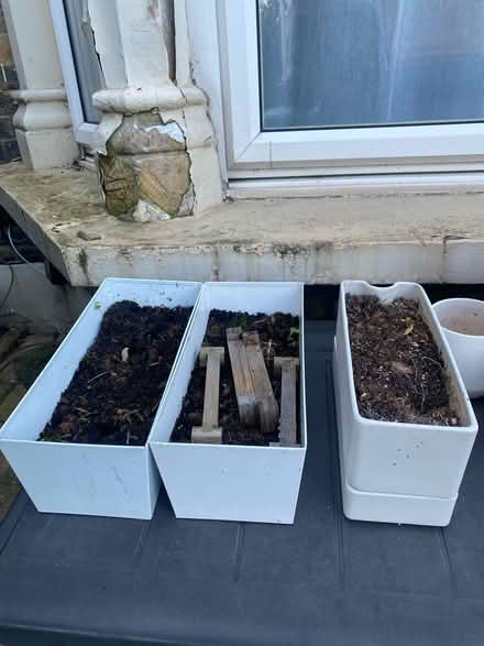 Photo of free Plant pots and planters (E11) #1