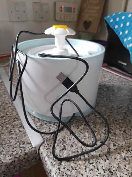 Photo of free Cat water fountain. (Otford TN14) #1