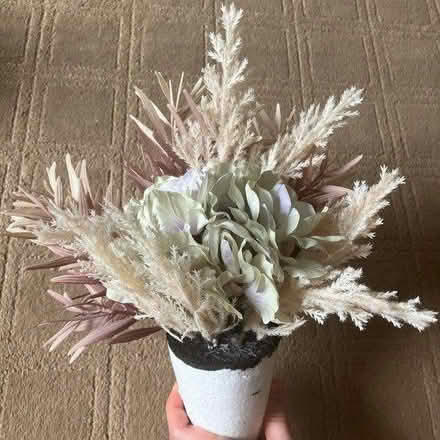Photo of free Fake flowers/plants (Southport PR9) #2