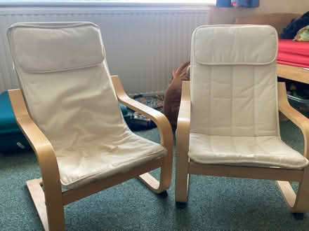 Photo of free Pair of children’s chairs (Bexhill TN40) #3