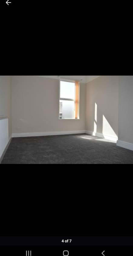 Photo of Long curtain(s) (L17) #1