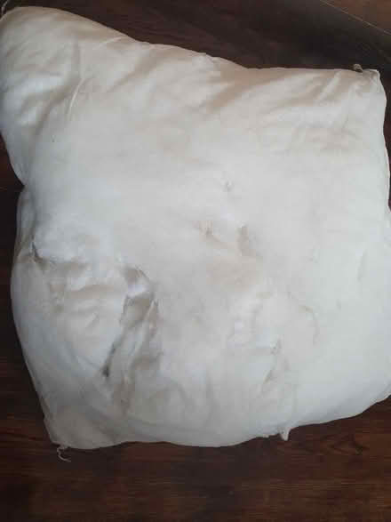 Photo of free Cushion insert / stuffing (Writtle CM1) #1