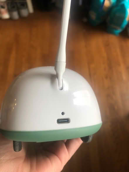 Photo of free Assorted Cat Toys (south end) #4