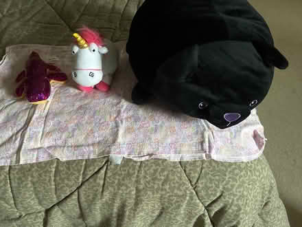 Photo of free Stuffed animals (Arlington) #1