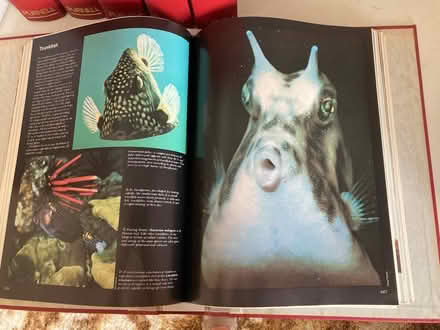 Photo of free 6 x Animal Life folders (Harborne Birmingham) #4