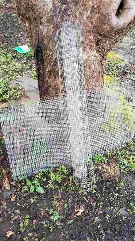 Photo of free Chicken wire (Binfield RG42) #1