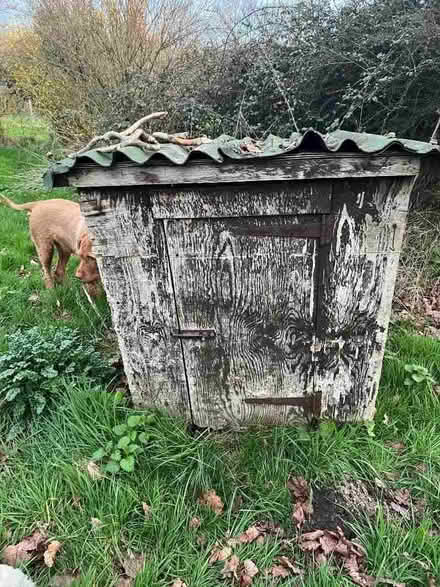 Photo of free chicken coops (Gardeners Green RG40) #2