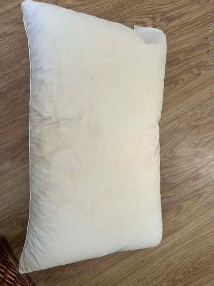 Photo of free Feather pillow (N8 Crouch End) #1
