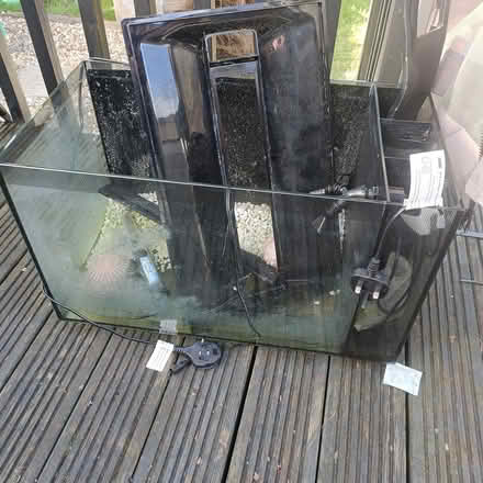 Photo of free Small fish tank (Welwyn garden city) #3