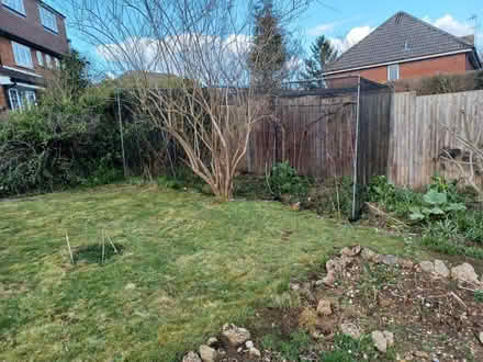 Photo of free Fruit cage (Hitchin, SG4) #1
