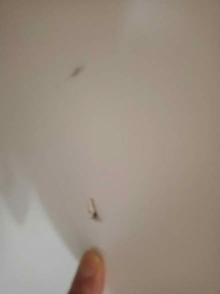 Photo of free TV Cabinet (SG19) #3