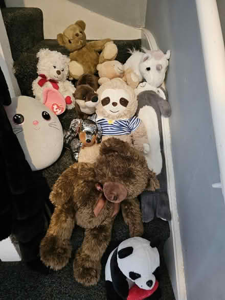 Photo of free Teddys (Chelmsford CM1) #1