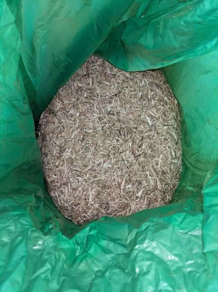 Photo of free Pet guinea pig Bliss absorbent bedding (Ranmoor S10) #3
