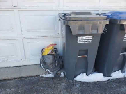 Photo of free Dried Food supply (Heartland Mississauga) #2