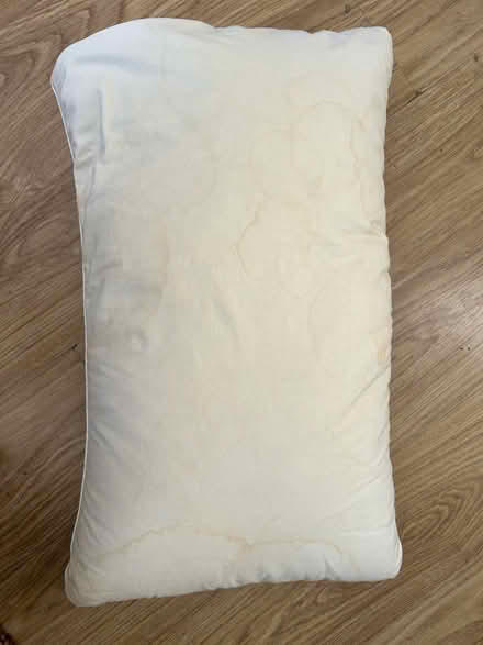Photo of free Feather pillow (N8 Crouch End) #2