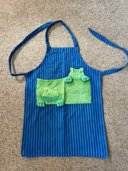 Photo of free Preschool frog apron (Lenton NG7) #1