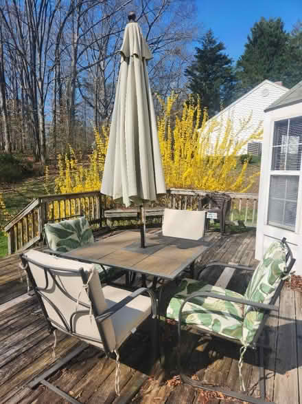 Photo of free Patio set and grill (Northern Albemarle) #2
