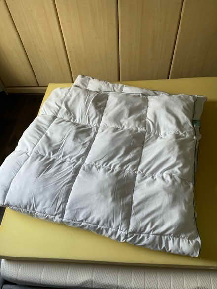 Photo of free Double duvet (EH11 3) #1