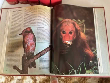 Photo of free 6 x Animal Life folders (Harborne Birmingham) #2