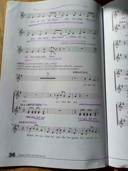 Photo of free The little mermaid actor's script (St Leonards Green TN38) #2