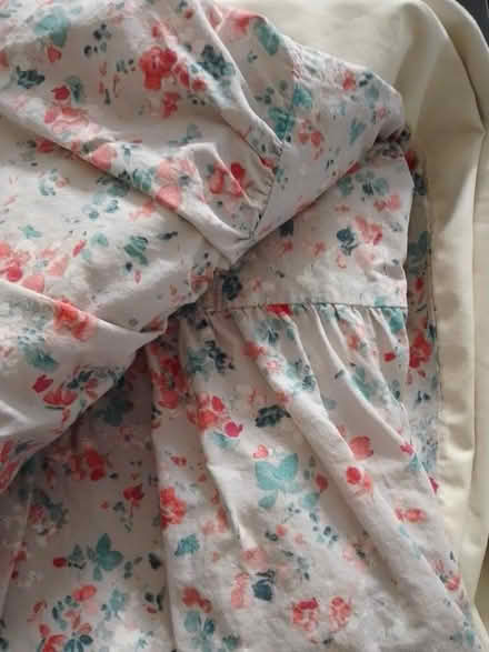 Photo of free Curtains (Garden City OX5) #1