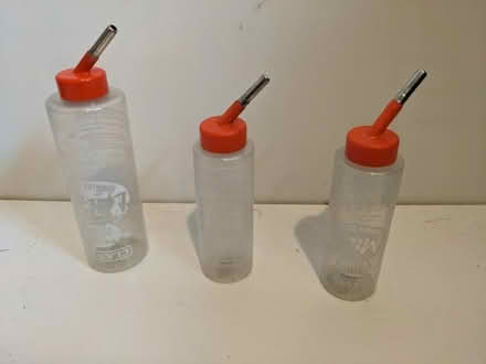 Photo of free guinea pig care kit items (Ranmoor S10) #2
