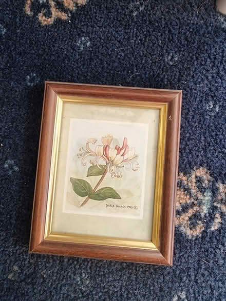 Photo of free Small print in frame (DY6) #1