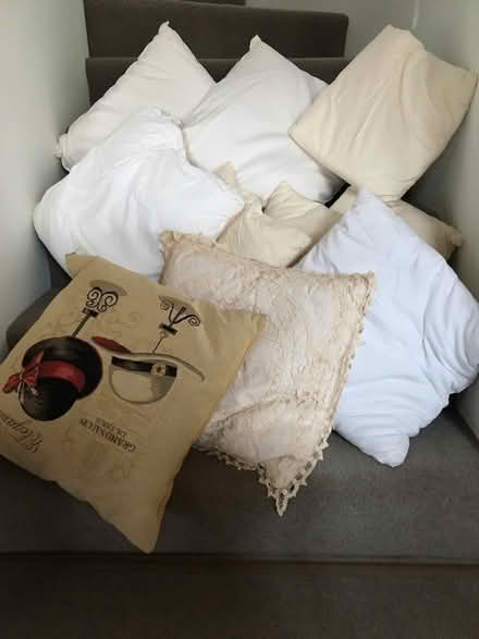 Photo of free Cushion pads (Motherby CA11) #1