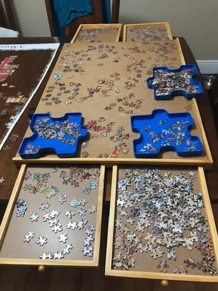 Photo of free A puzzle (Tamarac-Pine Island /McNab) #4