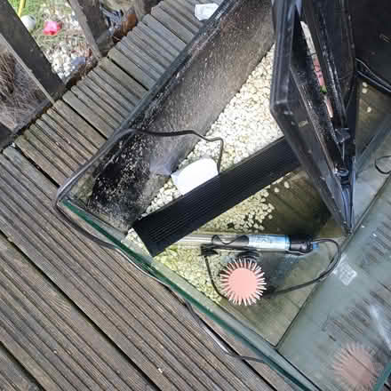 Photo of free Small fish tank (Welwyn garden city) #1