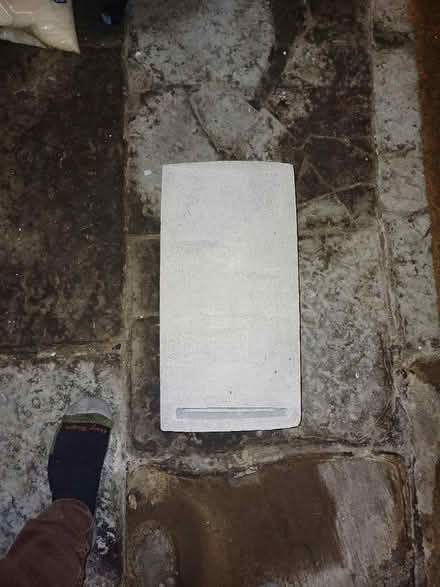 Photo of free Bat box (Kendal) #3