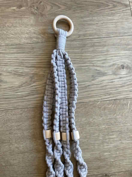 Photo of free Plant Hanger (Fareham PO16) #2