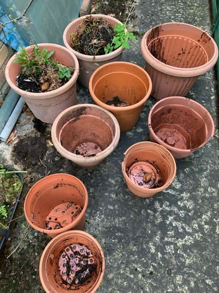 Photo of free Plastic plant pots (Durham DH1) #1