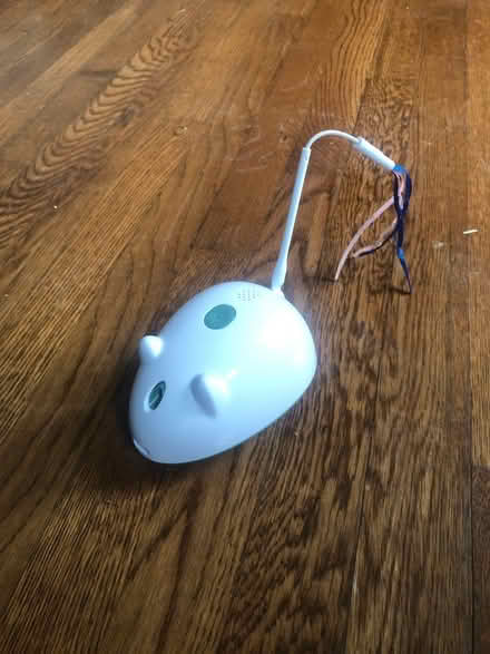 Photo of free Assorted Cat Toys (south end) #3