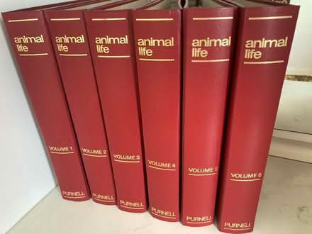 Photo of free 6 x Animal Life folders (Harborne Birmingham) #1