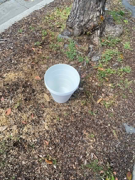 Photo of free White plastic trash cans (West san jose) #1