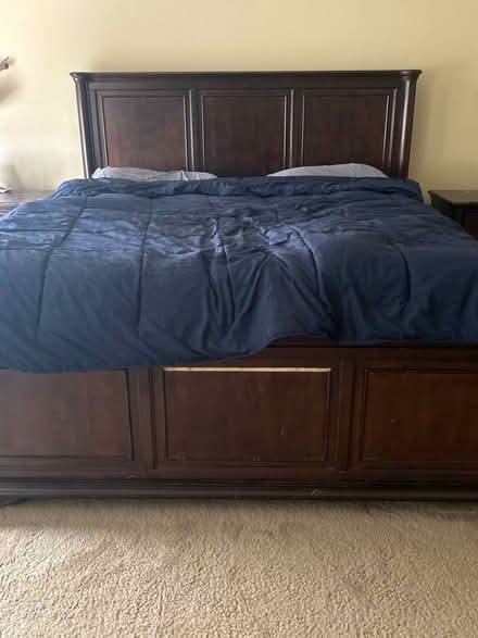 Photo of free Big Costco bear and bed (RSM) #1