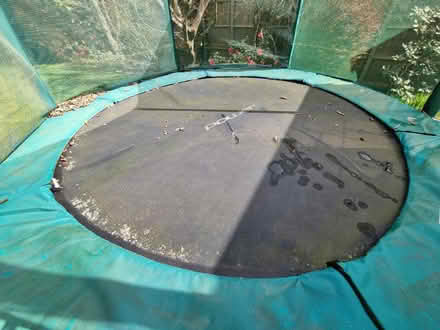 Photo of free Trampoline 3m diameter (Earley, Reading) #3