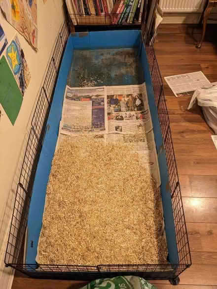 Photo of free Guinea pig indoor run tray (Ranmoor S10) #2