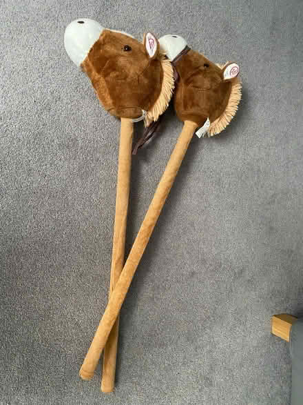 Photo of free Hobby horses (Reigate RH2) #1