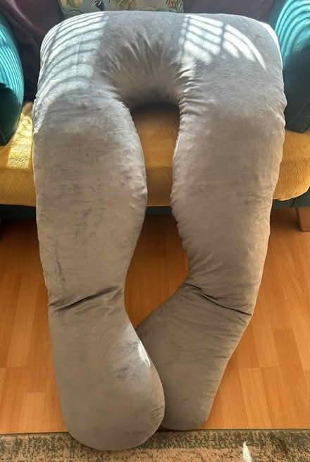 Photo of free Large pregnancy pillow (Dudley) #1