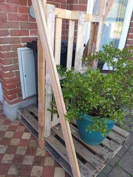 Photo of free Pallet (Manningtree CO11) #2