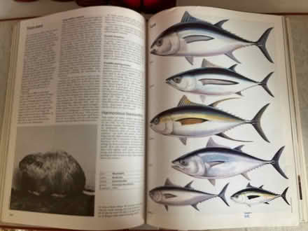 Photo of free 6 x Animal Life folders (Harborne Birmingham) #3