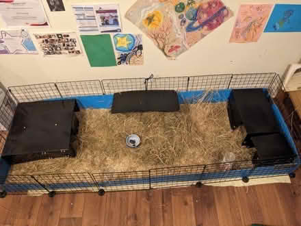 Photo of free Guinea pig indoor run tray (Ranmoor S10) #3