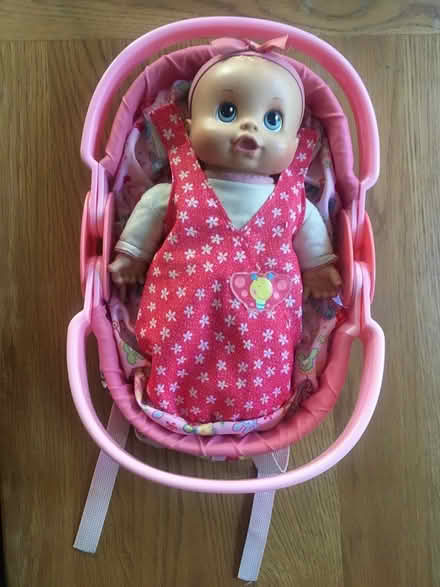 Photo of free Baby doll and baby doll carrier (Pennant Hills) #1