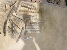 Photo of free bird spikes (Costa Mesa) #1