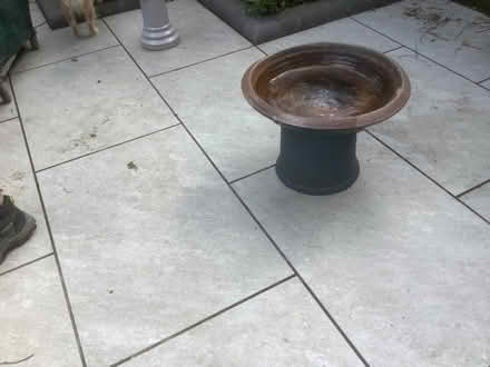 Photo of free Bird bath (Southsea PO5) #1