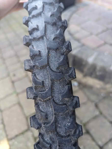 Photo of free Rear cycle wheel (High Green S35) #2