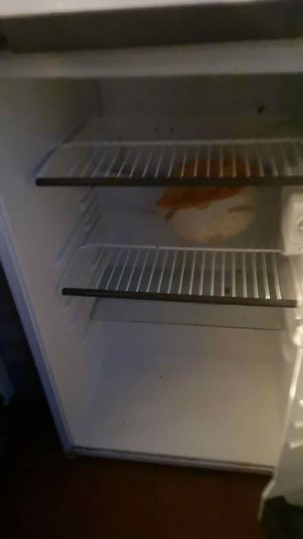 Photo of free Hotpoint fridge/freezer (St Nicholas SG1) #1